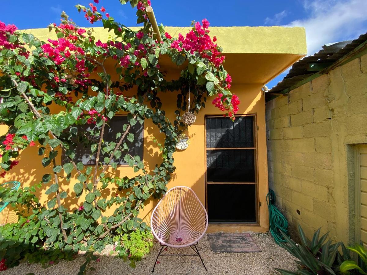 Jungla Bacalar/ Casa Jaguar Appartement