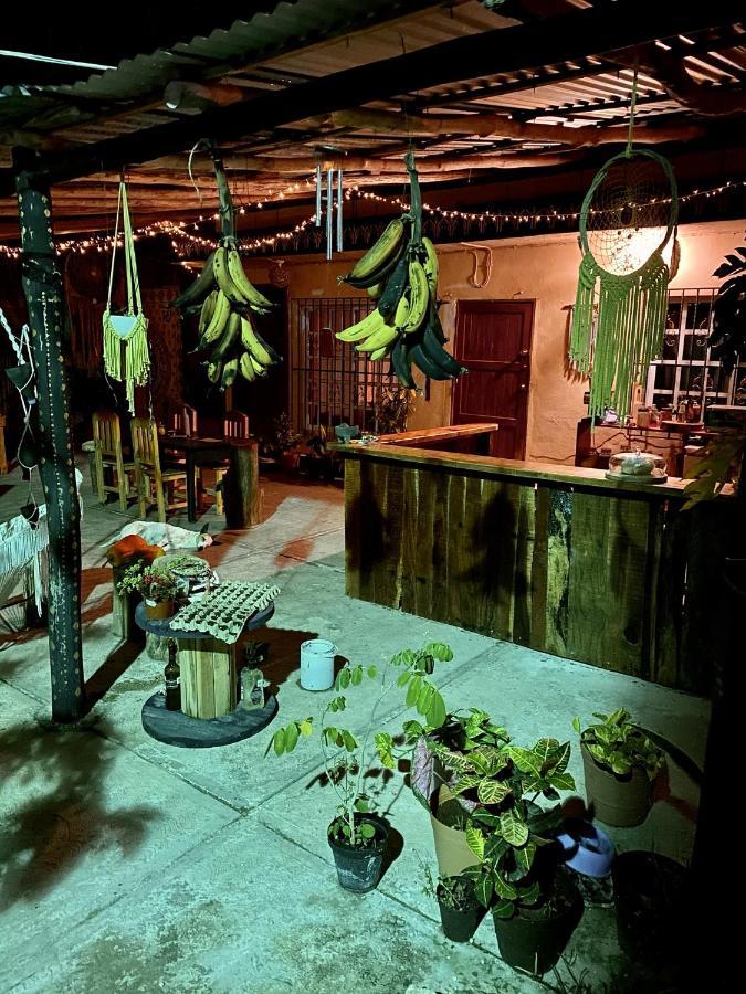 Jungla Bacalar/ Casa Jaguar Appartement Bacalar
