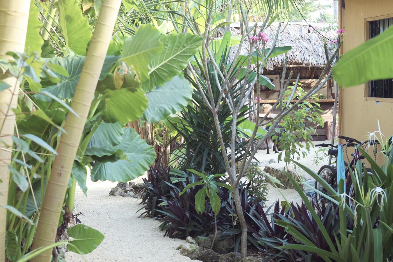 Appartement Jungla Bacalar/ Casa Jaguar Bacalar