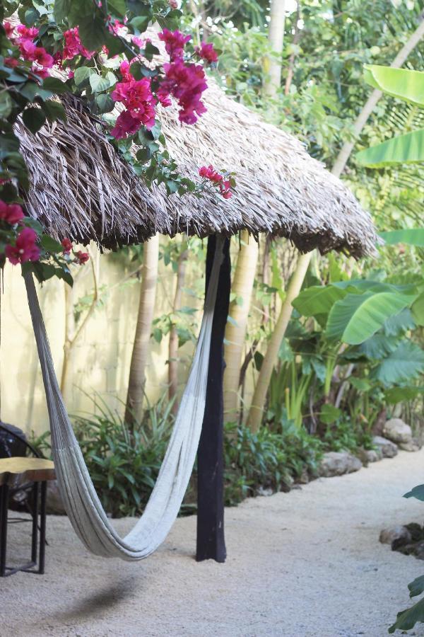 Jungla Bacalar/ Casa Jaguar
